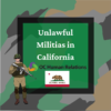Are Armed Militias Legal? No!